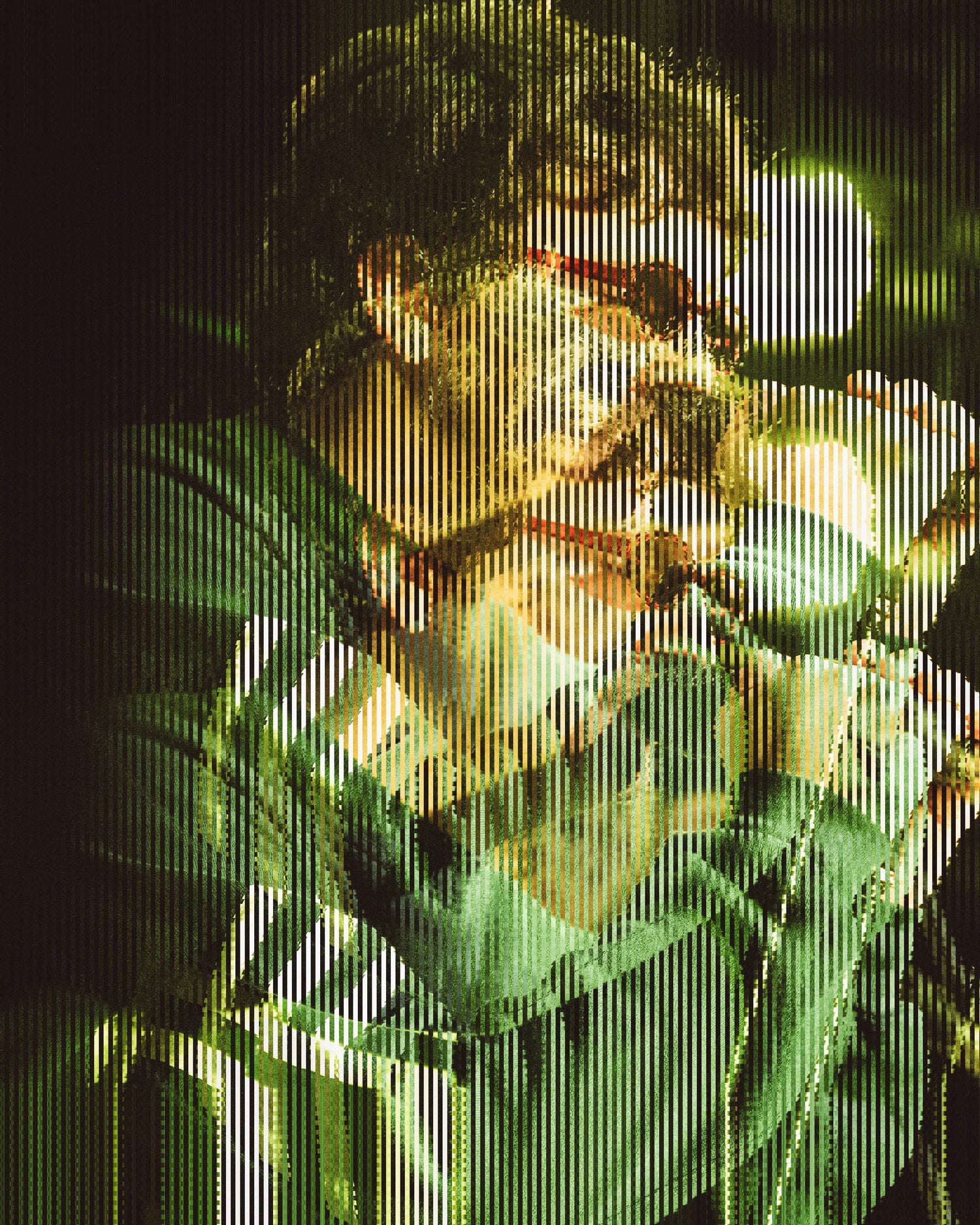 Park View playing at The Cluny 2 in Newcastle abstract image